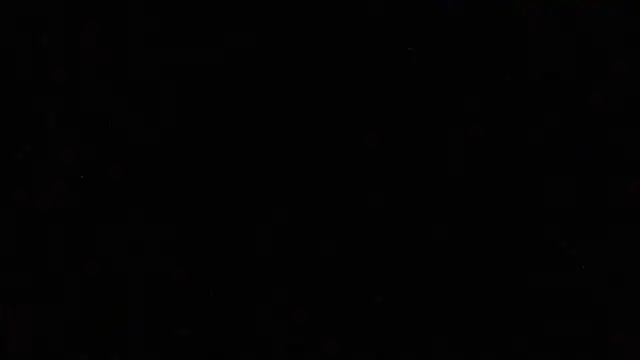 Pup Rush online show from September 12, 2025, 3:39 am