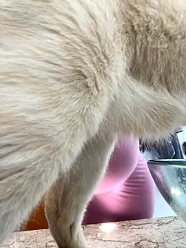 Snapshot of lupyta20 chatting on October 5, 2025, 1:02 pm lupyta20 online show from October 5, 2025, 1:02 pm