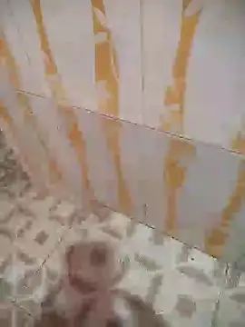 Sanjaymartin29 online show from January 15, 2025, 2:49 am