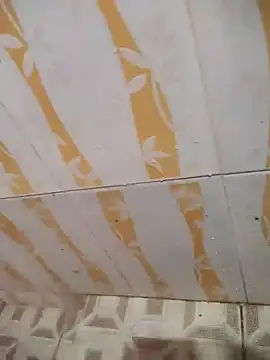 Sanjaymartin29 online show from February 6, 2025, 3:37 am