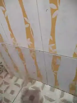 Sanjaymartin29 online show from December 29, 2024, 4:48 am