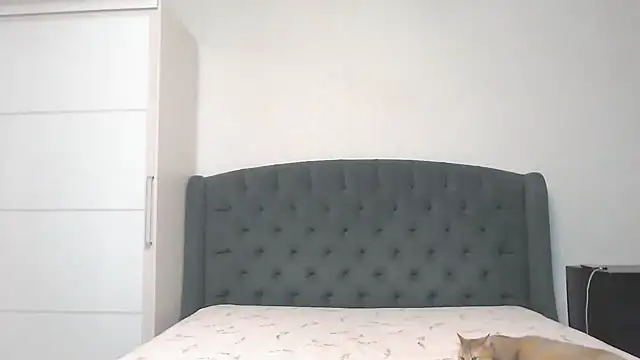 Snapshot of Marselle_Laker chatting on December 12, 2024, 5:42 am Marselle Laker online show from December 12, 2024, 5:42 am