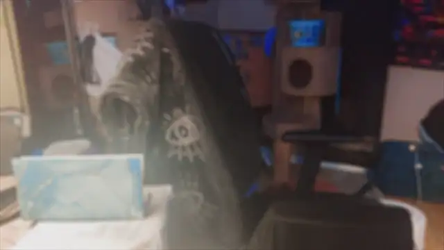 Snapshot of spunlikecottoncandy chatting on November 17, 2025, 10:52 am spunlikecottoncandy online show from November 17, 2025, 10:52 am