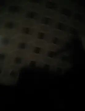 deshifuckers online show from January 9, 2025, 2:22 am