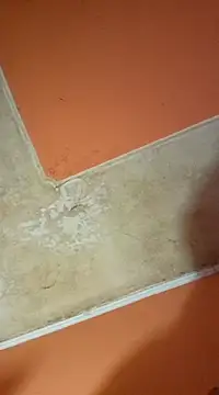 Snapshot of ducicsajsziii chatting on March 19, 2025, 3:08 pm ducicsajsziii online show from March 19, 2025, 3:08 pm