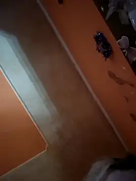 ducicsajsziii online show from December 21, 2025, 12:07 pm