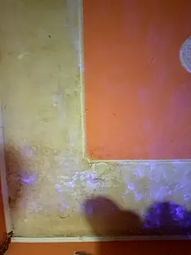 Snapshot of ducicsajsziii chatting on March 15, 2025, 1:29 pm ducicsajsziii online show from March 15, 2025, 1:29 pm