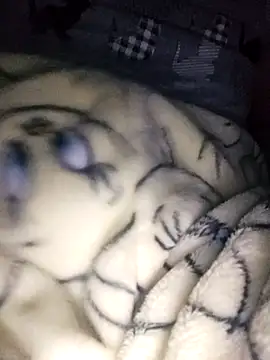 Snapshot of bruna_safadinhaa chatting on February 17, 2025, 9:56 am bruna safadinhaa online show from February 17, 2025, 9:56 am