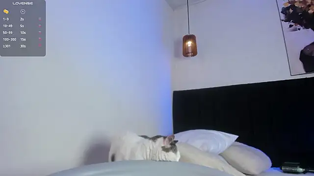 dolly zoe online show from March 7, 2026, 7:19 pm