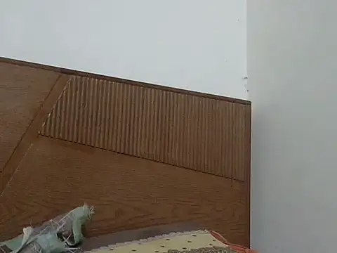 Snapshot of shekira99 chatting on November 12, 2025, 3:05 pm shekira99 online show from November 12, 2025, 3:05 pm