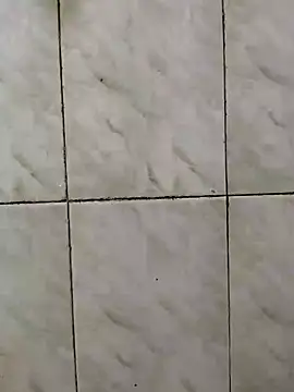 Mallu boy-tvpm online show from December 5, 2024, 2:37 am