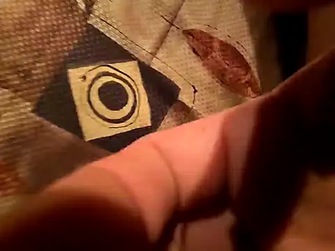 Snapshot of d1ckend chatting on December 7, 2024, 9:50 pm d1ckend online show from December 7, 2024, 9:50 pm