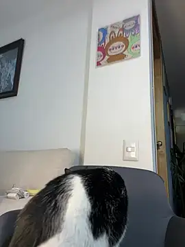 ananya sex1 online show from March 15, 2026, 5:58 am