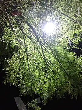 Hotbodyscottie online show from March 22, 2026, 9:11 am