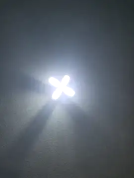 Ricorryxh online show from November 24, 2025, 11:49 pm