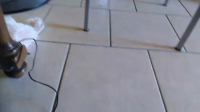 Snapshot of 69porcellone69 chatting on October 2, 2025, 7:01 am 69porcellone69 online show from October 2, 2025, 7:01 am