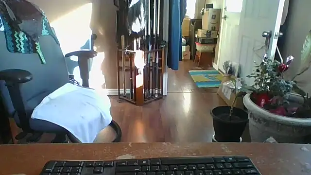 Daremeknot online show from March 10, 2025, 1:54 pm