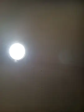 Snapshot of TrainedFinder5 chatting on October 16, 2025, 2:09 am TrainedFinder5 online show from October 16, 2025, 2:09 am