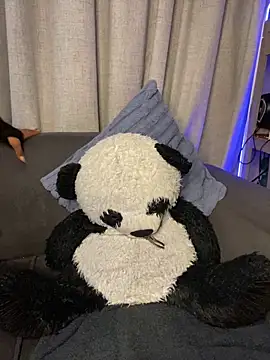 Snapshot of YellowHoneyDip chatting on February 19, 2026, 5:26 am YellowHoneyDip online show from February 19, 2026, 5:26 am