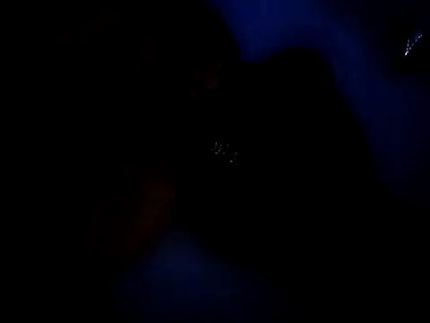 Egypt4280 online show from November 7, 2025, 6:51 am