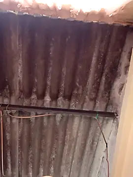 Snapshot of dantero chatting on February 2, 2025, 7:25 pm dantero online show from February 2, 2025, 7:25 pm