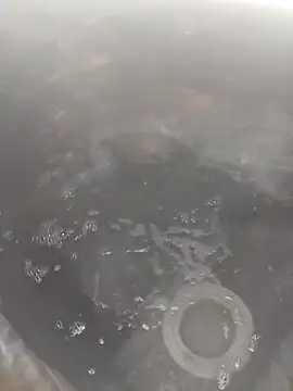 bella8769 online show from February 21, 2026, 6:26 am