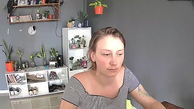 stupid babybird online show from February 28, 2025, 7:03 pm