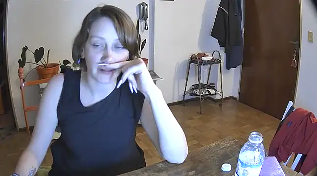 stupid babybird online show from December 29, 2024, 5:10 am