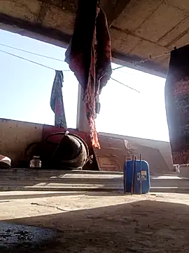 Mamta Chaterjee online show from April 29, 2026, 2:27 am