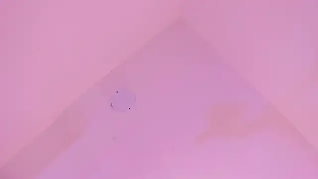 LoveQueen2 online show from January 14, 2026, 11:58 am