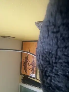 111pervertido online show from February 23, 2026, 9:10 am