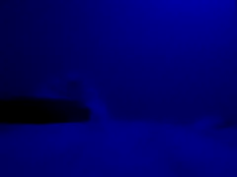 Snapshot of Blkstylion chatting on November 27, 2025, 8:20 pm Blkstylion online show from November 27, 2025, 8:20 pm