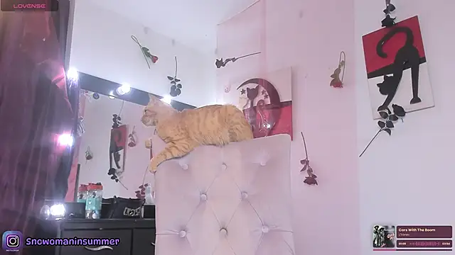 Snapshot of Lips_SaraSofia2 chatting on February 14, 2026, 7:25 pm Lips SaraSofia2 online show from February 14, 2026, 7:25 pm