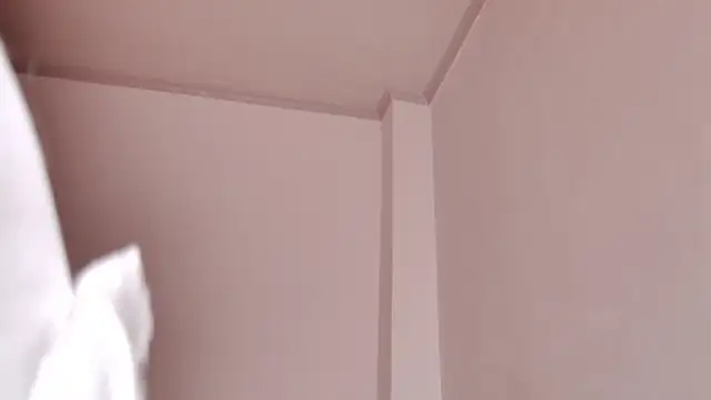 caarlywhitee online show from February 12, 2026, 1:49 am