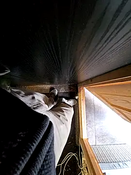 Snapshot of Lorent6969 chatting on October 8, 2025, 3:57 pm Lorent6969 online show from October 8, 2025, 3:57 pm