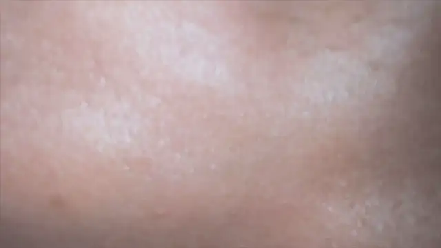 nosleepforlink online show from February 8, 2025, 8:53 pm