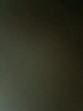 Snapshot of fieltoprj1 chatting on February 27, 2026, 1:06 am fieltoprj1 online show from February 27, 2026, 1:06 am