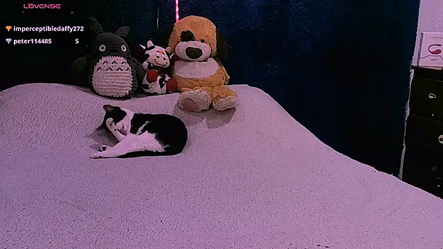 Snapshot of NinaYellow chatting on December 2, 2024, 5:21 pm NinaYellow online show from December 2, 2024, 5:21 pm