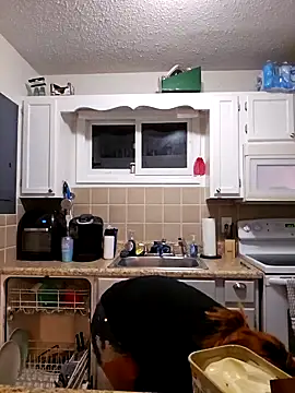 Snapshot of Dixiefaye_Pika chatting on February 27, 2025, 4:02 am Dixiefaye Pika online show from February 27, 2025, 4:02 am