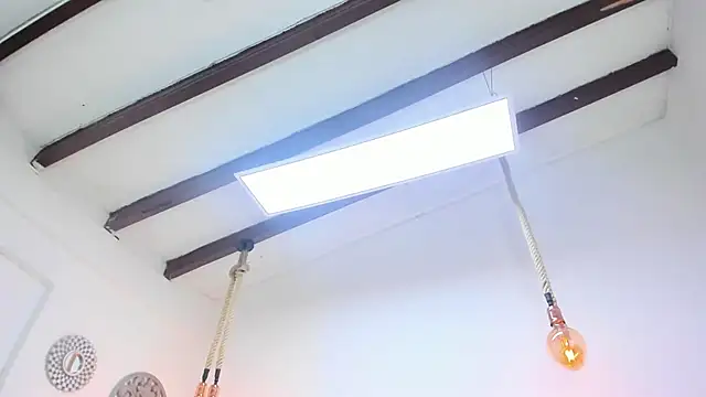 Oriana Guzman online show from February 26, 2025, 3:10 pm