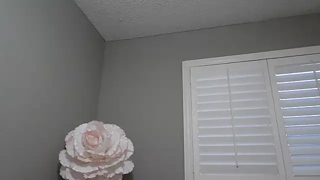 Snapshot of NatalieKneals chatting on November 12, 2025, 12:48 am NatalieKneals online show from November 12, 2025, 12:48 am