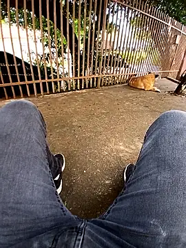 braza66 online show from April 12, 2026, 5:05 pm