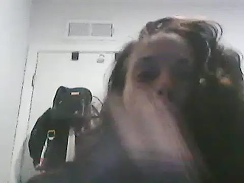 Snapshot of gorgeous11 chatting on March 10, 2025, 1:54 pm gorgeous11 online show from March 10, 2025, 1:54 pm