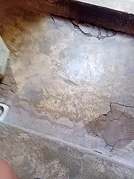 rau 4455 online show from October 26, 2025, 9:53 am