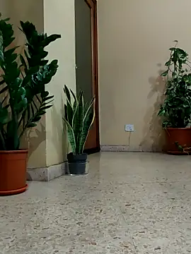 Melody87 online show from April 1, 2026, 9:34 pm