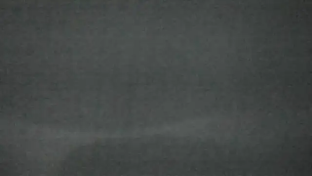 canela wet online show from February 14, 2025, 12:25 pm