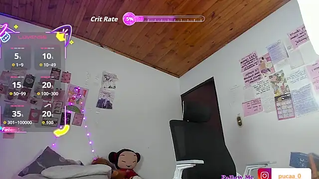 Pucaa  online show from February 19, 2026, 1:24 am