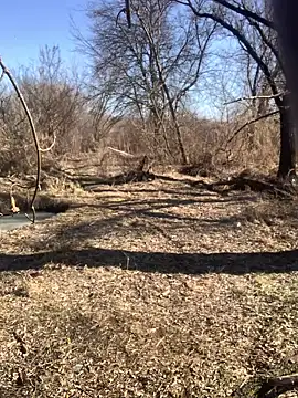 Snapshot of Boysex227 chatting on March 8, 2025, 8:11 am Boysex227 online show from March 8, 2025, 8:11 am