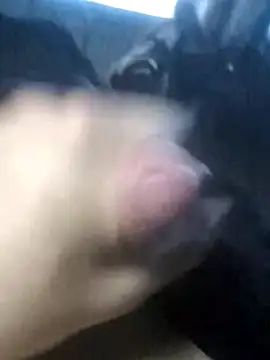 Boysex227 online show from March 19, 2026, 4:23 am