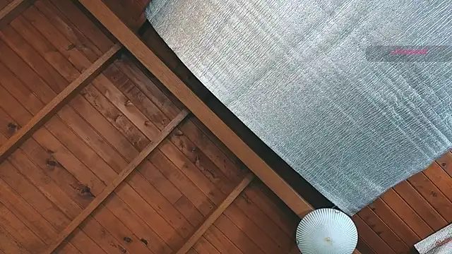 SilvaBranko online show from March 27, 2026, 9:05 pm